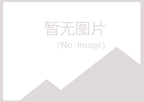 召陵区女孩能源有限公司